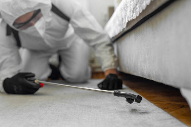 Professional Bed Bug Control technician working in Grant County County, OK